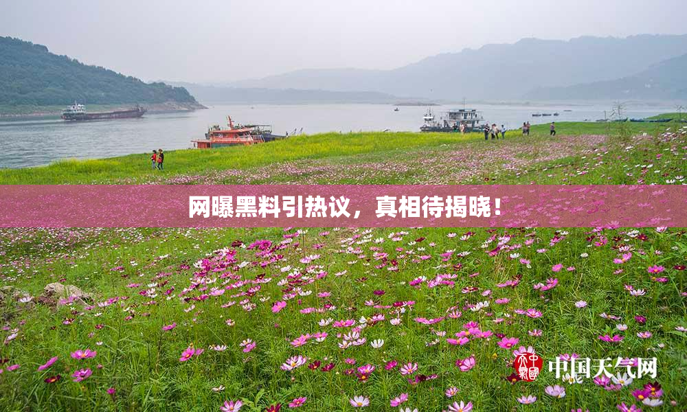 网曝黑料引热议，真相待揭晓！