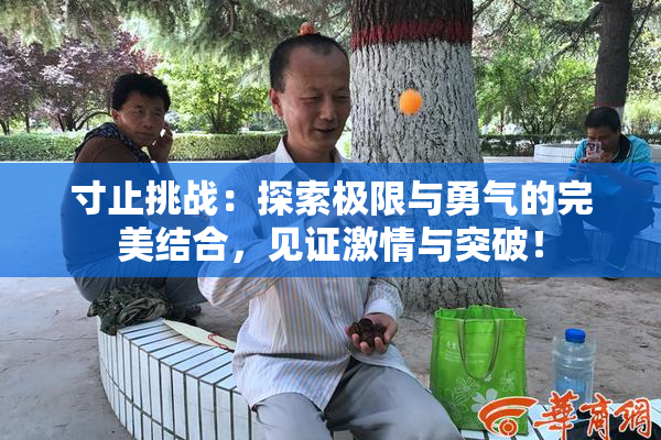 寸止挑战：探索极限与勇气的完美结合，见证激情与突破！
