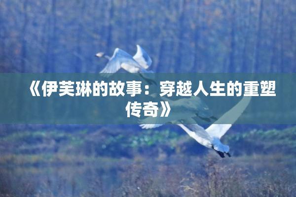 《伊芙琳的故事：穿越人生的重塑传奇》