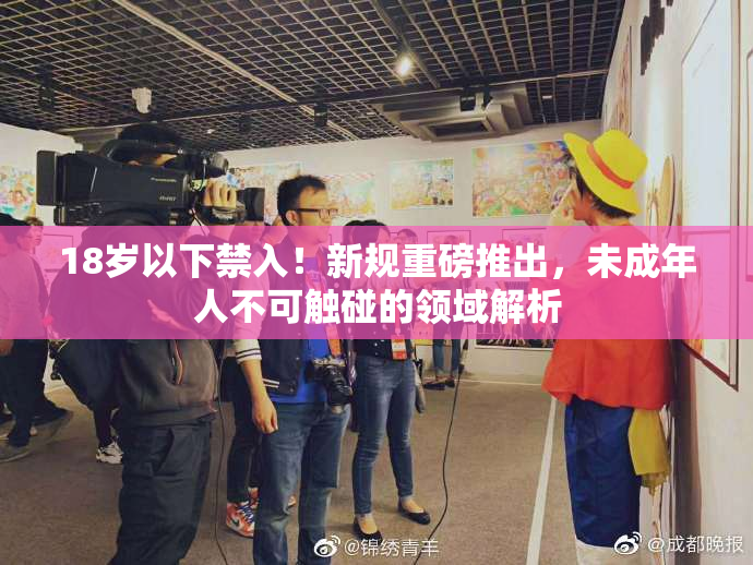 18岁以下禁入！新规重磅推出，未成年人不可触碰的领域解析