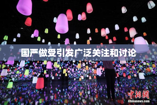国严做受引发广泛关注和讨论