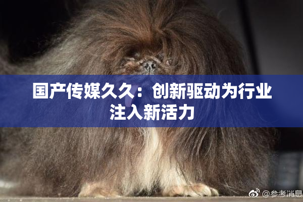 国产传媒久久：创新驱动为行业注入新活力