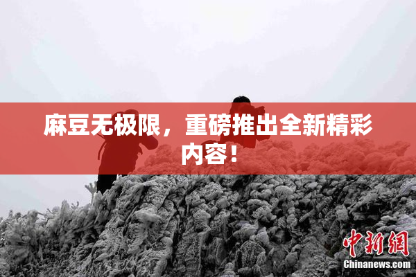 麻豆无极限，重磅推出全新精彩内容！