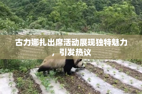 古力娜扎出席活动展现独特魅力，引发热议