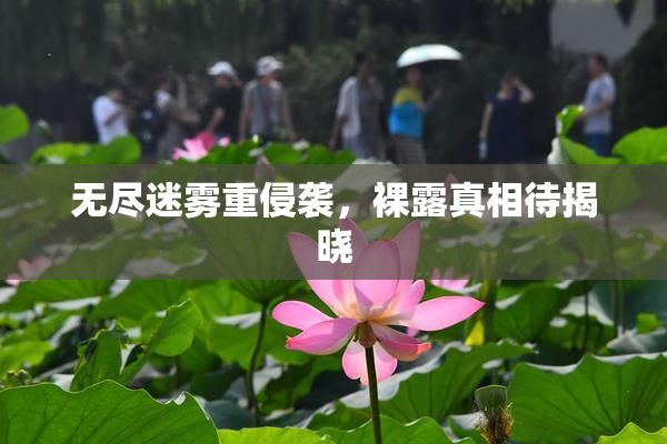 无尽迷雾重侵袭，裸露真相待揭晓