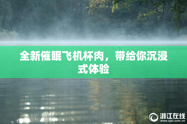 全新催眠飞机杯肉，带给你沉浸式体验