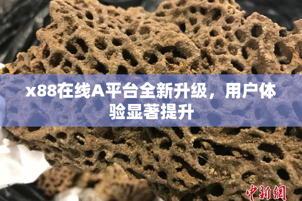 x88在线A平台全新升级，用户体验显著提升