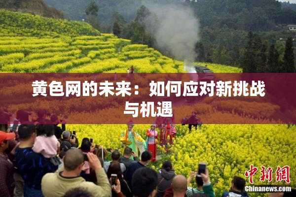 黄色网的未来：如何应对新挑战与机遇
