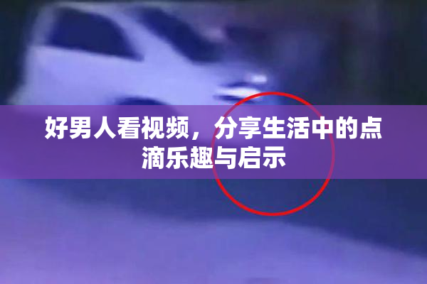 好男人看视频，分享生活中的点滴乐趣与启示
