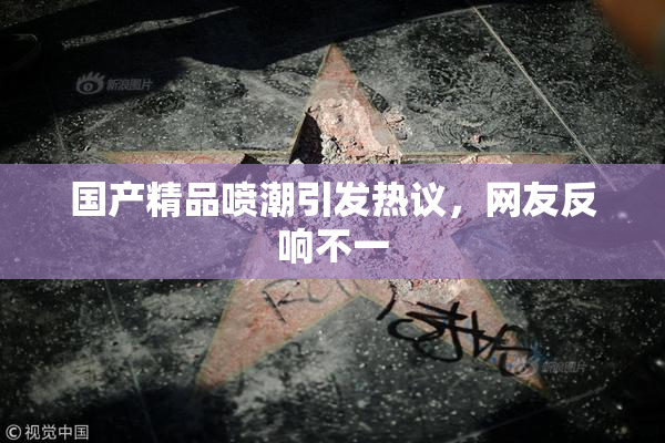 国产精品喷潮引发热议，网友反响不一