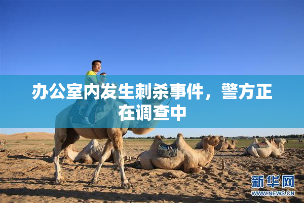 办公室内发生刺杀事件，警方正在调查中