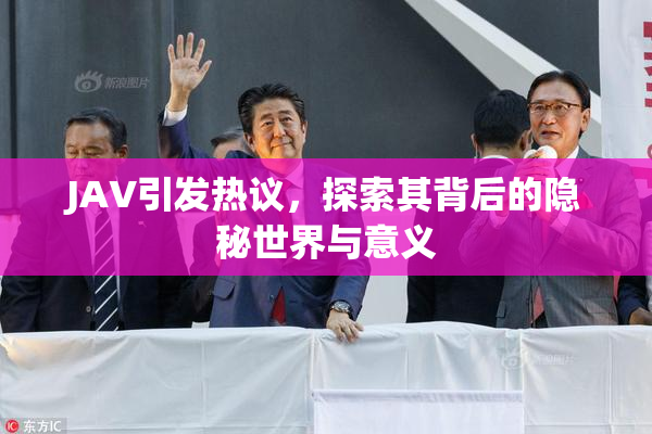 JAV引发热议，探索其背后的隐秘世界与意义