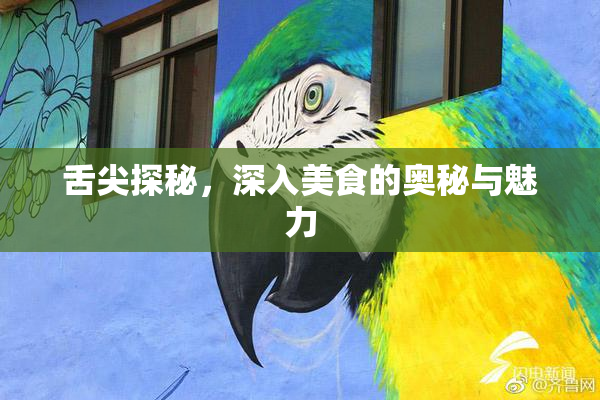 舌尖探秘，深入美食的奥秘与魅力