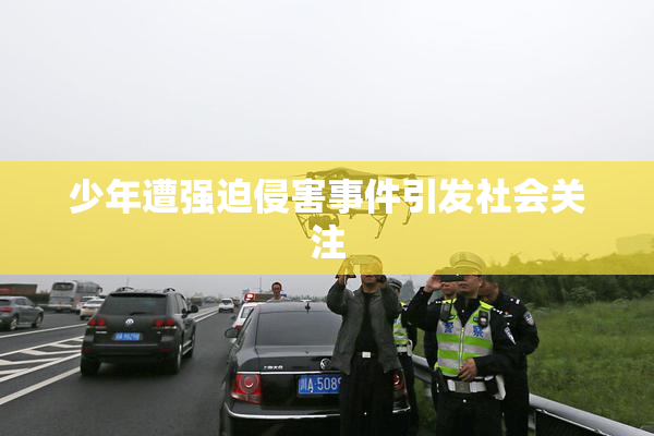 少年遭强迫侵害事件引发社会关注