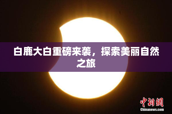 白鹿大白重磅来袭，探索美丽自然之旅