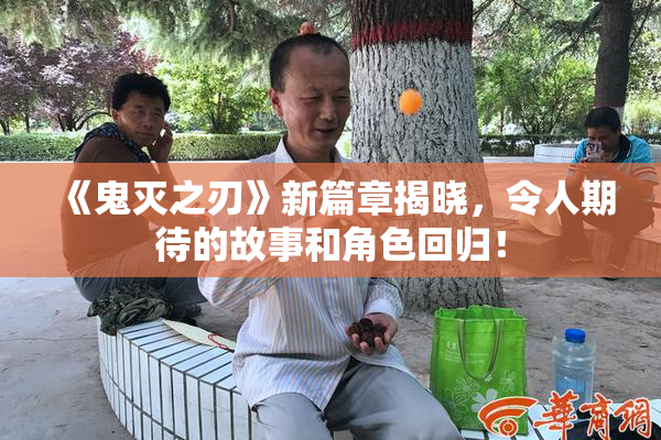 《鬼灭之刃》新篇章揭晓，令人期待的故事和角色回归！