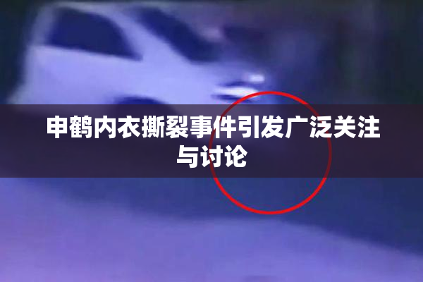申鹤内衣撕裂事件引发广泛关注与讨论
