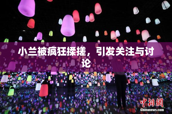 小兰被疯狂揉搓，引发关注与讨论