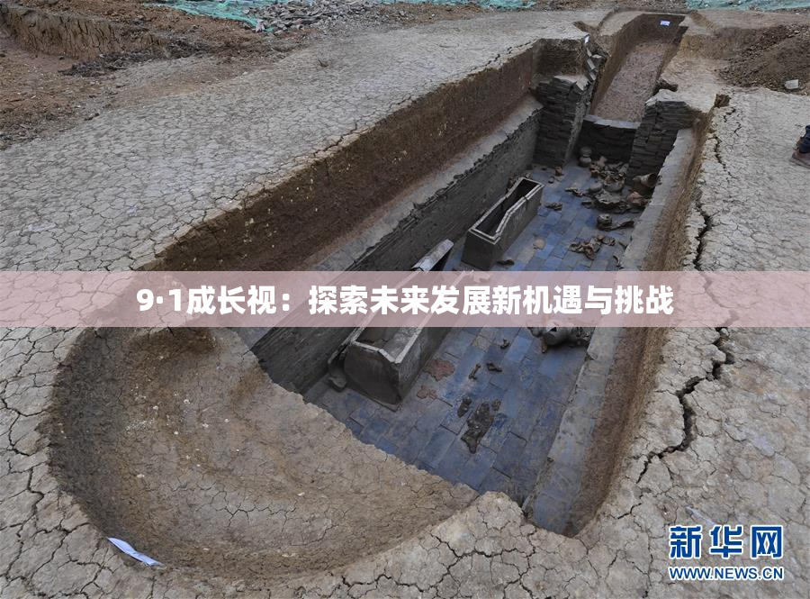 9·1成长视：探索未来发展新机遇与挑战