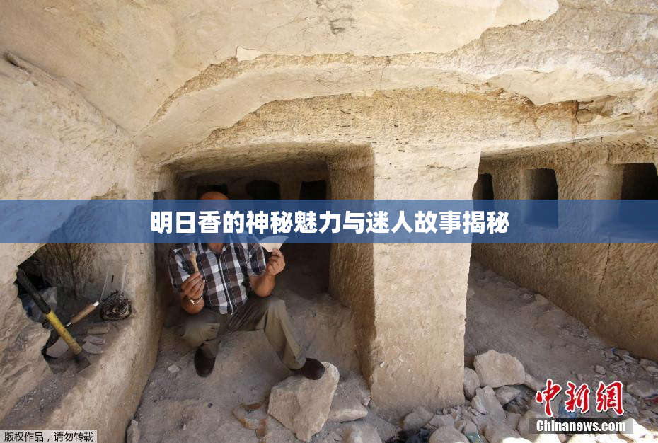 明日香的神秘魅力与迷人故事揭秘