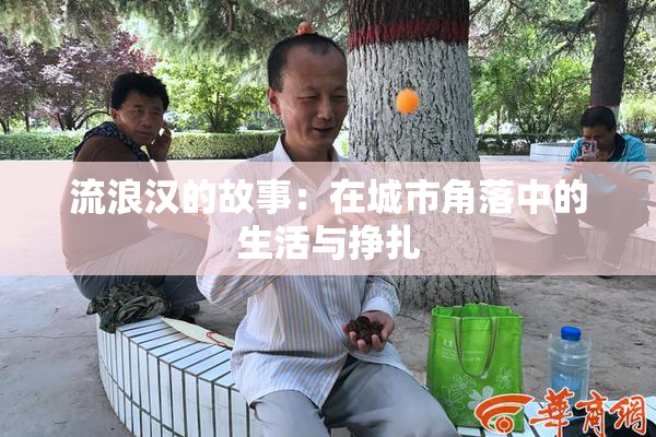 流浪汉的故事：在城市角落中的生活与挣扎