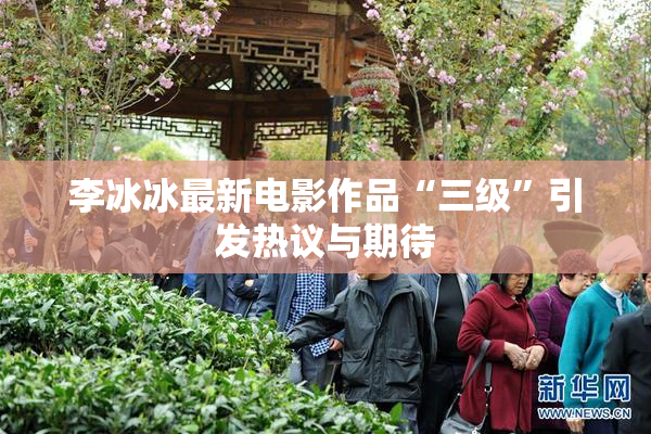 李冰冰最新电影作品“三级”引发热议与期待