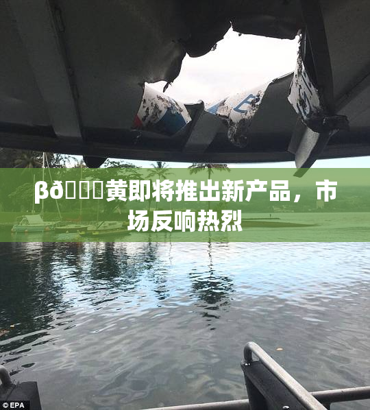 β🔞黄即将推出新产品，市场反响热烈