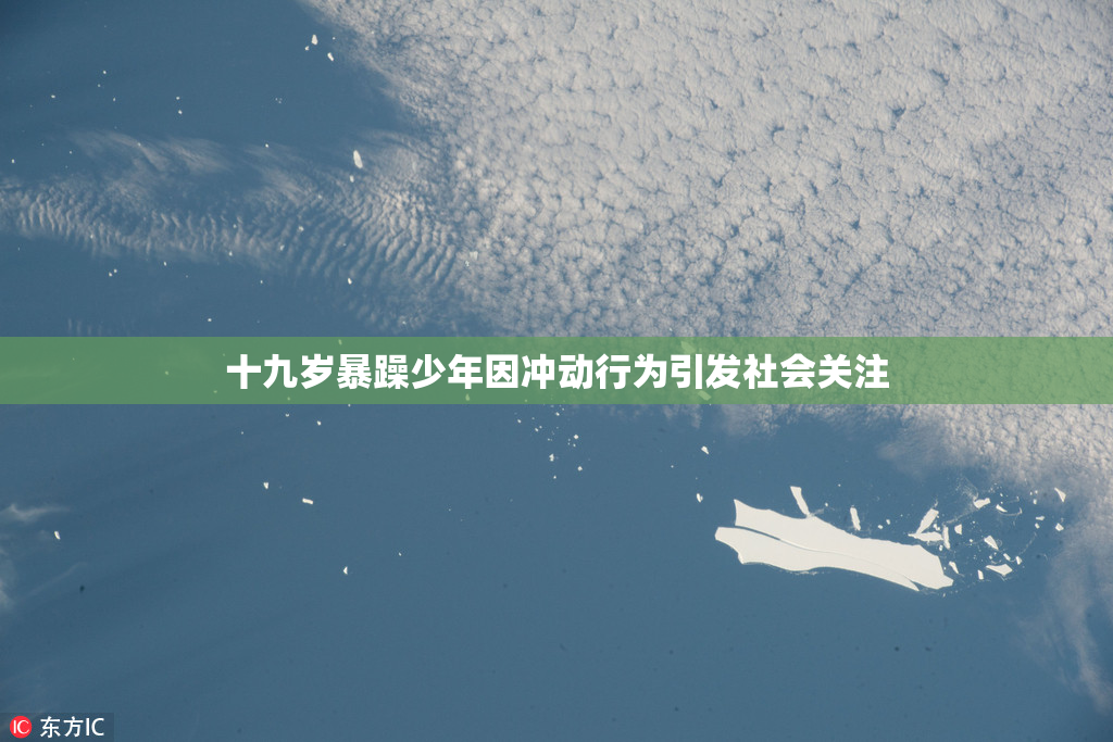 十九岁暴躁少年因冲动行为引发社会关注