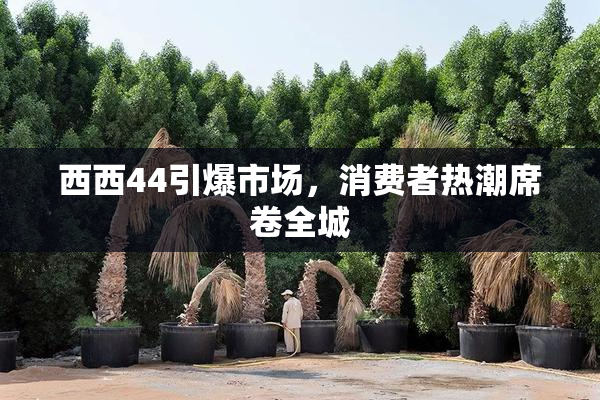 西西44引爆市场，消费者热潮席卷全城