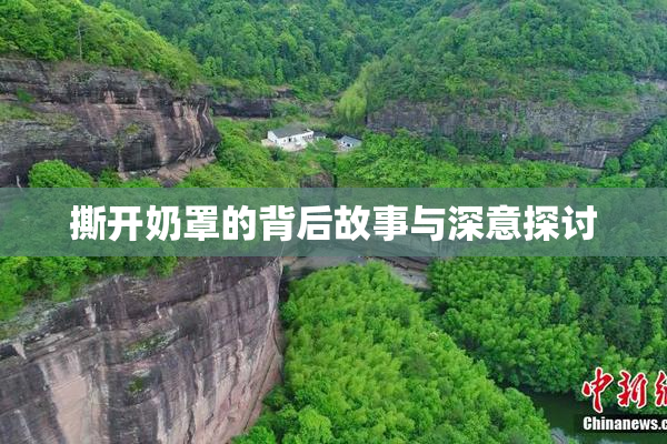 撕开奶罩的背后故事与深意探讨