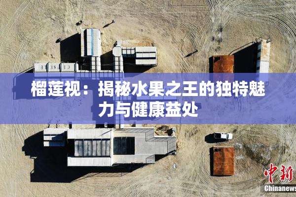 榴莲视：揭秘水果之王的独特魅力与健康益处