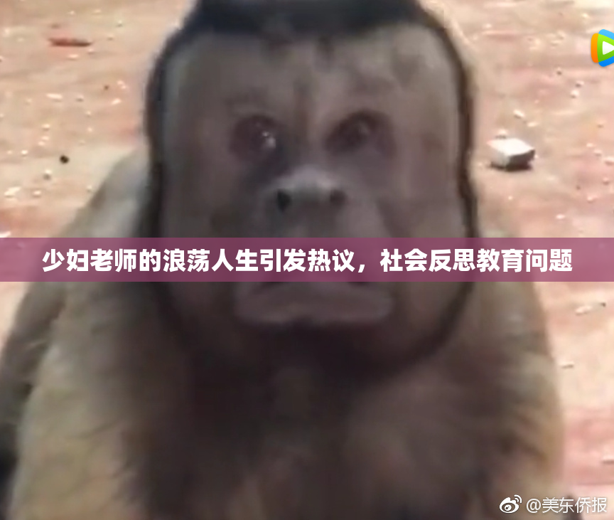 少妇老师的浪荡人生引发热议，社会反思教育问题