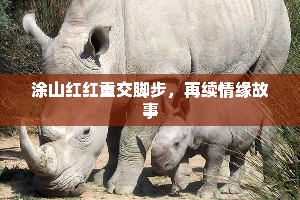 涂山红红重交脚步，再续情缘故事