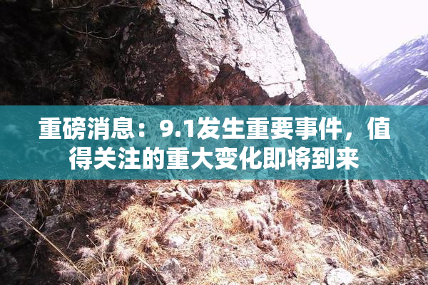重磅消息：9.1发生重要事件，值得关注的重大变化即将到来