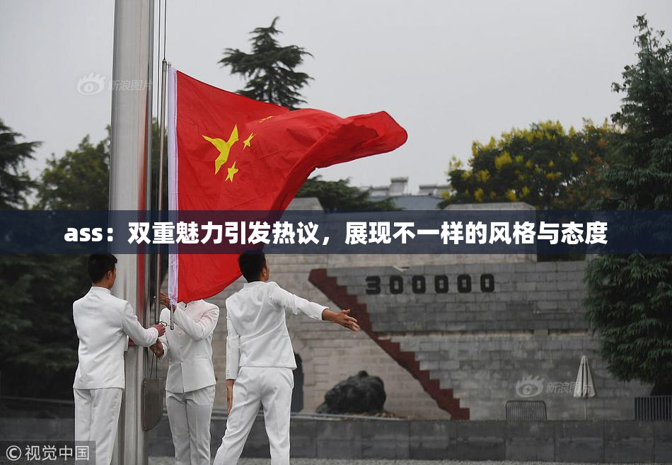 ass：双重魅力引发热议，展现不一样的风格与态度