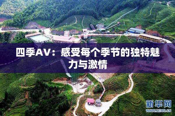 四季AV：感受每个季节的独特魅力与激情