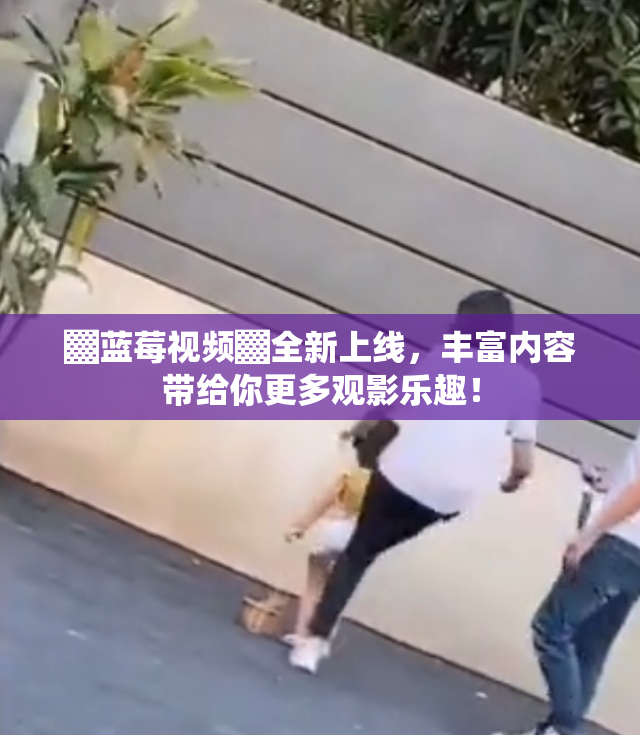 ▓蓝莓视频▓全新上线，丰富内容带给你更多观影乐趣！