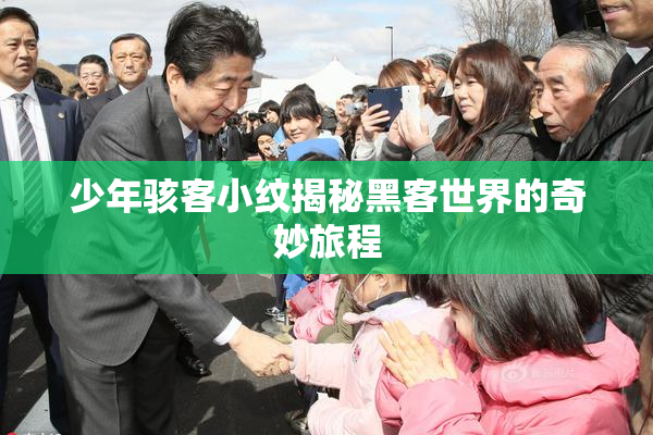 少年骇客小纹揭秘黑客世界的奇妙旅程