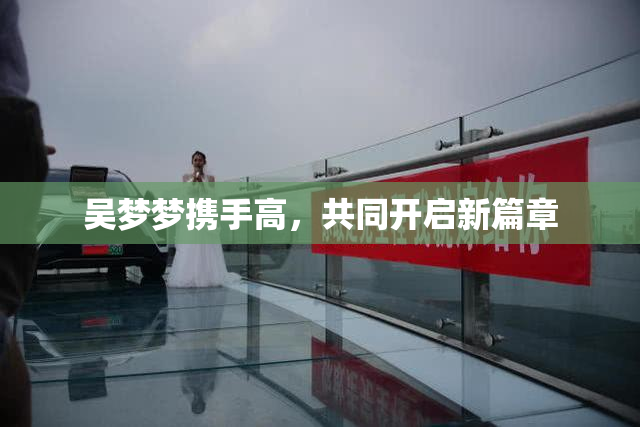 吴梦梦携手高，共同开启新篇章