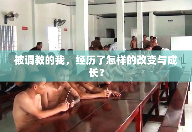 被调教的我，经历了怎样的改变与成长？