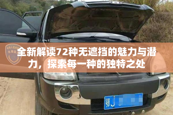 全新解读72种无遮挡的魅力与潜力，探索每一种的独特之处