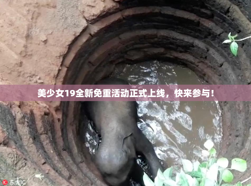 美少女19全新免重活动正式上线，快来参与！