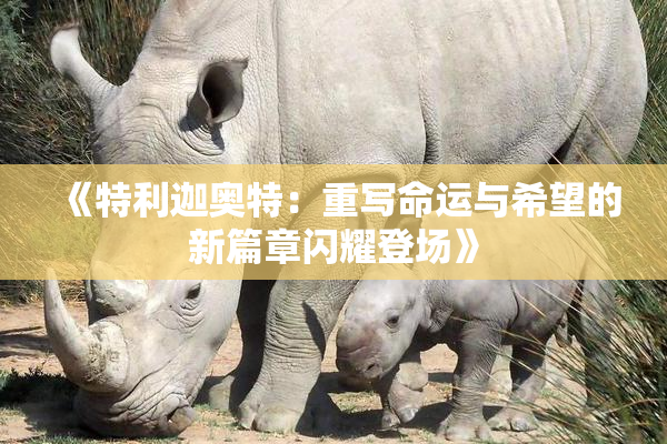 《特利迦奥特：重写命运与希望的新篇章闪耀登场》