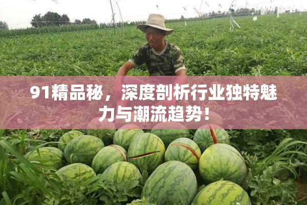 91精品秘，深度剖析行业独特魅力与潮流趋势！