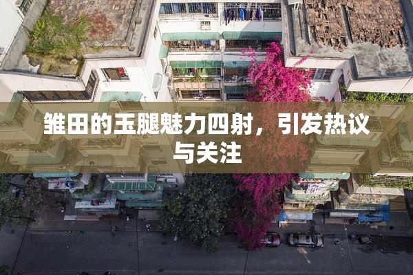雏田的玉腿魅力四射，引发热议与关注