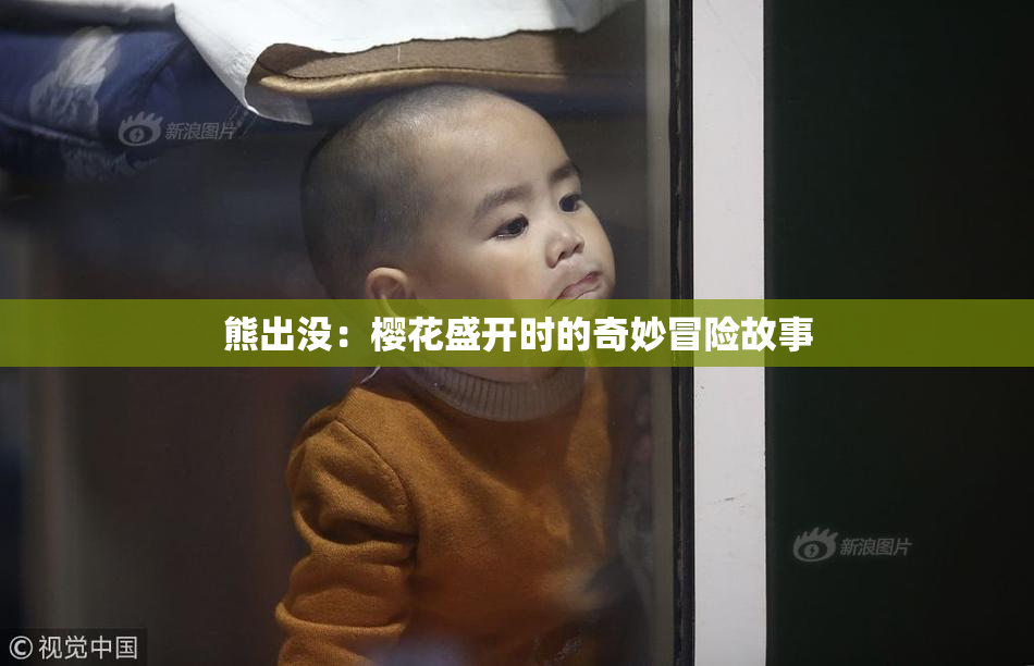 熊出没：樱花盛开时的奇妙冒险故事