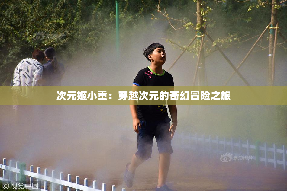 次元姬小重：穿越次元的奇幻冒险之旅