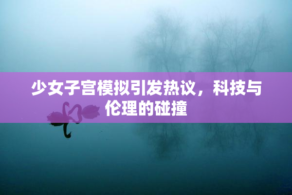 少女子宫模拟引发热议，科技与伦理的碰撞