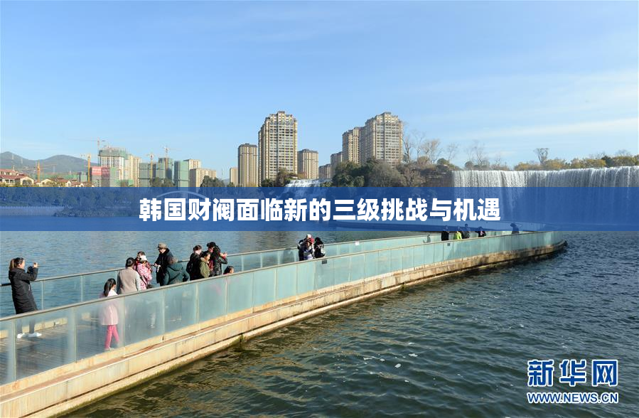 韩国财阀面临新的三级挑战与机遇