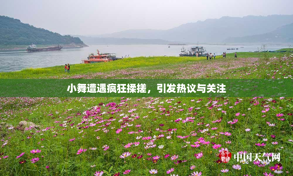 小舞遭遇疯狂揉搓，引发热议与关注